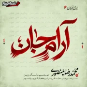دانلود آهنگ جدید محمدرضا منصوری آرام جان