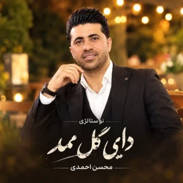 دانلود آهنگ جدید محسن احمدی دایی گل ممد