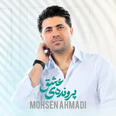 دانلود آهنگ جدید محسن احمدی پرونده‌ی عشق