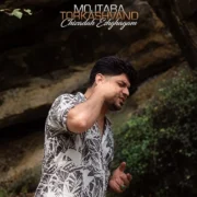 دانلود آهنگ جدید مجتبی ترکاشوند چیزده عشقگم