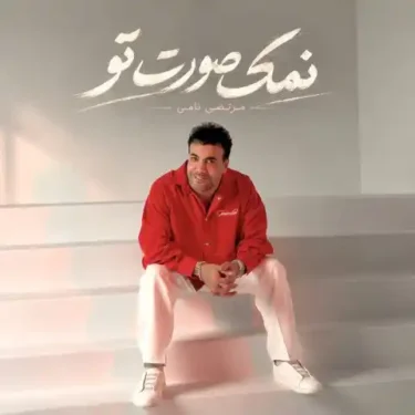 دانلود آهنگ جدید مرتضی نامی نمک صورت تو