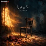 دانلود آهنگ جدید ناجی نباشی چی