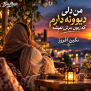 من دلی دیوونه دارم که زبون سرش نمیشه