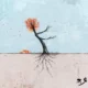 دانلود آهنگ مثل باد سرد پاییز غم لعنتی به من زد وان دام پاییز