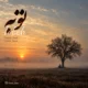 دانلود آهنگ توبه صوفی (گر تو شوی گناه من توبه نمی‌کنم ز تو)