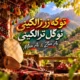 دانلود آهنگ تو که زر زالکینی تو گل ترالکینی (هوش مصنوعی) لری