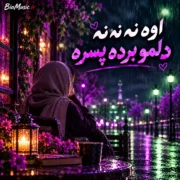 دانلود آهنگ اوه نه نه نه دلمو برده پسره ترند اینستا