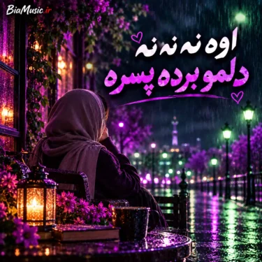 دانلود آهنگ اوه نه نه نه دلمو برده پسره ترند اینستا